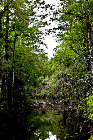 2528_EVERGLADES_MIAMI_FLORIDA_200903016_5L8Y3034