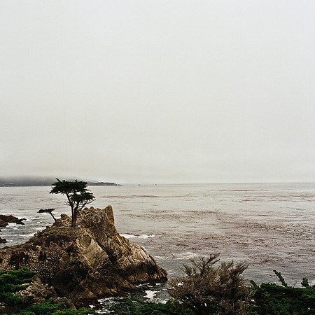 2369_FM_COLOR_CARMEL_CA_02_8.jpg
