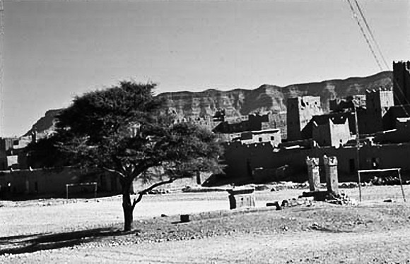 3184_SL_COLOR_ZAGORA_TO_TAMGROUTE_DUNES_MAROCCO_II_1998_10