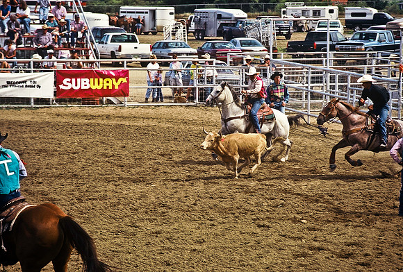 47490_B6_SL_COLOR_TRINIDAD_RODEO_CO_97_02.jpg