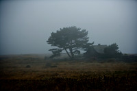 06590_ZV4N_2638_DG_COLOR_MENDOCINO_CALIFORNIA_CA_USA_2007_USA