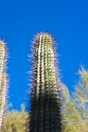0031_La_Arizona_5L8Y5276