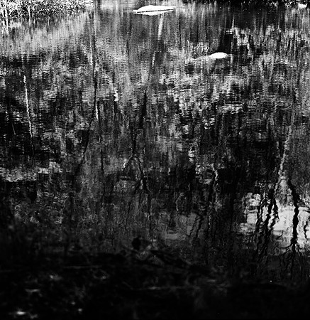 2254_FM_BW_SAN_FRANCISCO_CA_02_5.jpg
