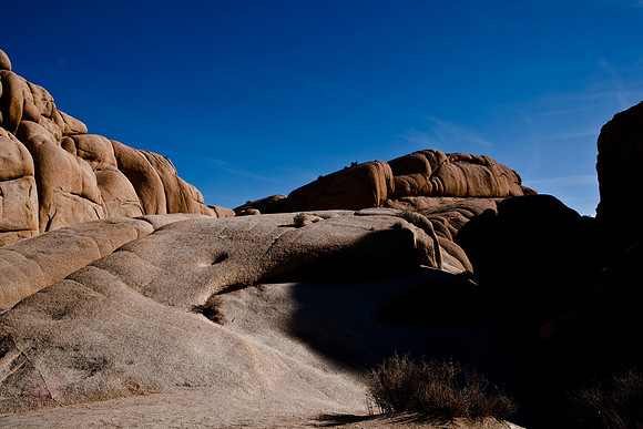 06646_DG_COLOR_JOSHUA_TREE_NAT_PARK_29_PALMS_CALIFORNIA_CA_USA_2007_ZV4N_464
