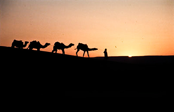 3206_SL_COLOR_MERZOUGA_SHAHARA_MAROCCO_II_1998_14