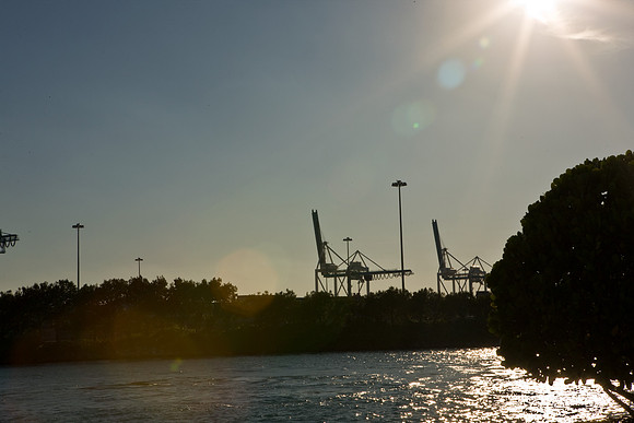 3094_DG_Port_Miami_Beach_FL_5L8Y6539