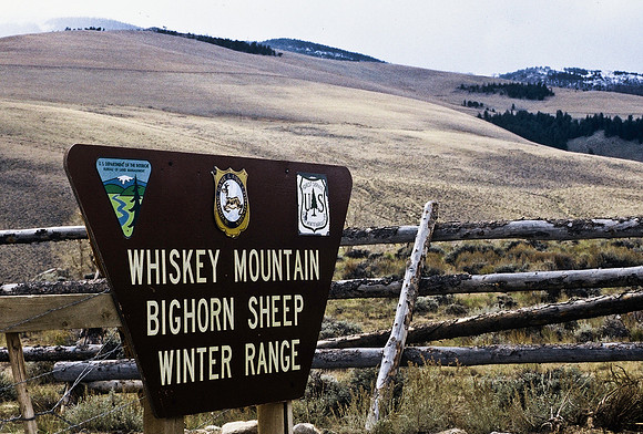 47350_B2_SL_COLOR_US_TOUR_ROCKY_MOUNTAINS_WY_97_01.jpg