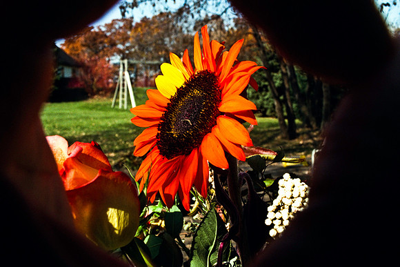0337_FM_COLOR_MINESOTA_99_14.jpg