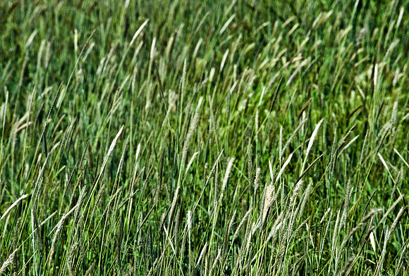 47484_B6_SL_COLOR_FROM_DODGECITY_TO_PRITCHETT_HWY160_CO_97_10.jpg