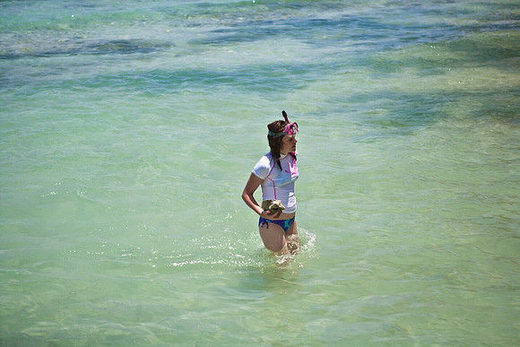 3876_DG_Cayman_Island_Caribbean_ZV4N0523