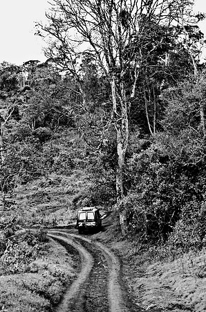 B3_82008_BW_194_New_Amboseli_Africa_89_34