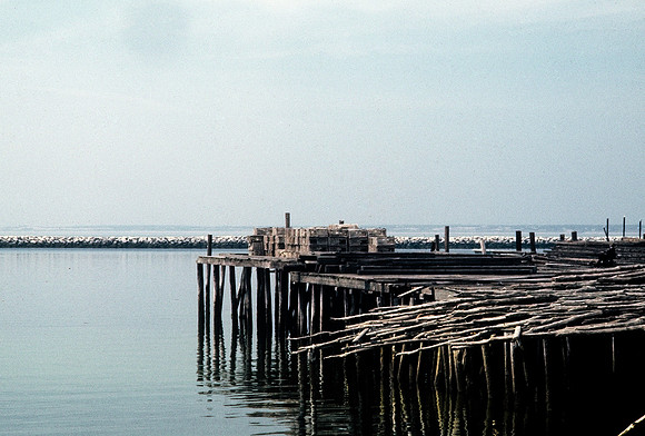 64033_B1_SL_COLOR_NY_78_15.jpg