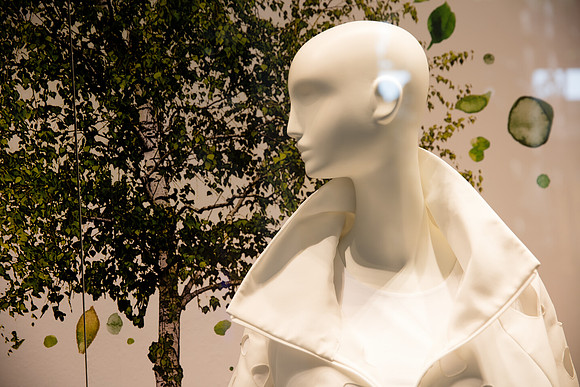 20160417_Mannequins_and_Windows_075A0162