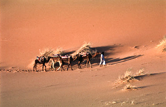 3208_SL_COLOR_MERZOUGA_SHAHARA_MAROCCO_II_1998_11