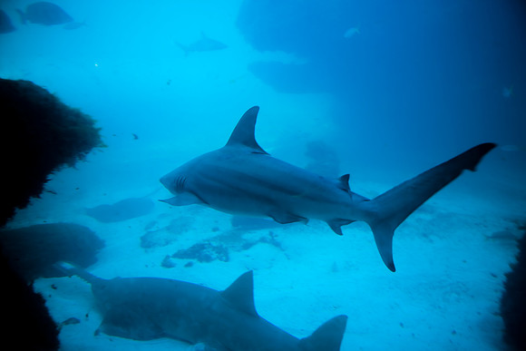 36176_DG_Color_USA_Nassau_Bahamas_Related_Group_AtlantisNassau_Atlantis_Bahamas_ZV4N3474