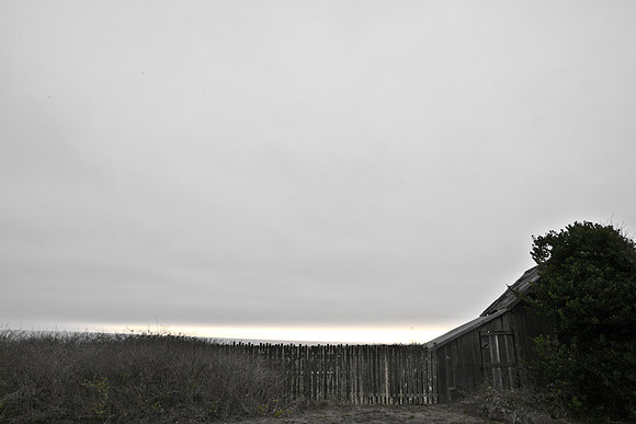 5L8Y0607