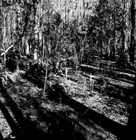 7587_fm_bw_xpand_MANDACINO_CA_01_8.jpg