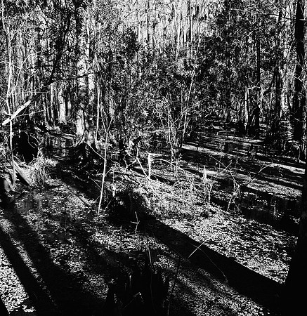 7587_fm_bw_xpand_MANDACINO_CA_01_8.jpg