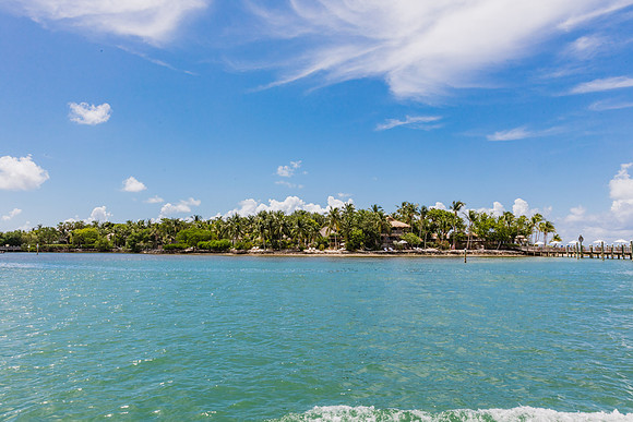 20160714_Key_West_Little_Palm__75A0596