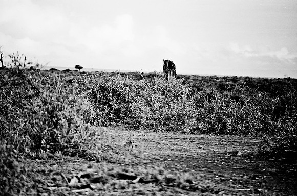 B3_82009_BW_194_New_Masai_Africa_89_19