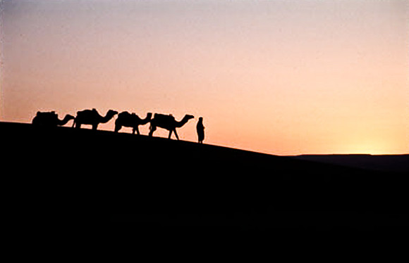 3206_SL_COLOR_MERZOUGA_SHAHARA_MAROCCO_II_1998_6