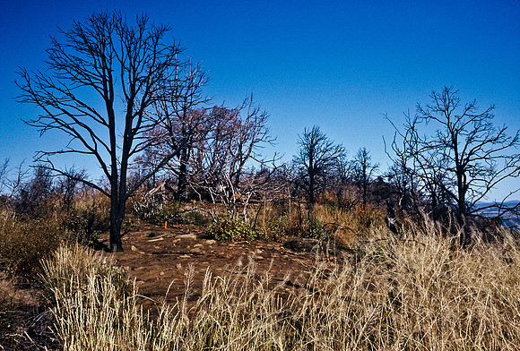 47478_B5_SL_COLOR_FROM_DOLORES_TO_CORTEZ_VERDE_NAT_PARK_COLORADO_WY_97_02.jpg