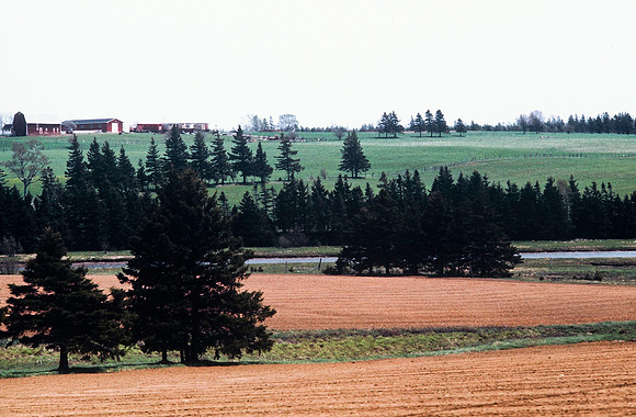 47369_B3_SL_COLOR_SURROUNDINGS_NE_97_03.jpg