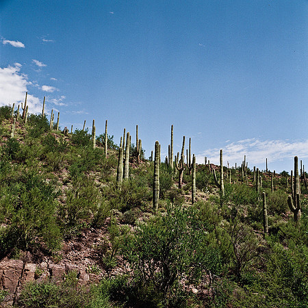 6013_FM_COLOR_TUCSON_AZ_05_7.jpg