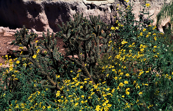 37877_B15_SL_COLOR_TAOS_TO_EMBUDA_TO_BANDELIER_NM_97_02.jpg