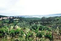 37340_SL_COLOR_ITALY_2000_4