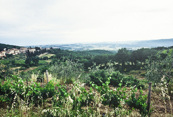 37340_SL_COLOR_ITALY_2000_4