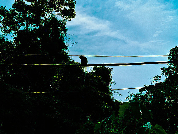 FILM