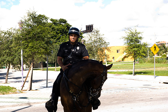 84782_ZV4N8185_FL_Miami_USA