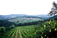 37340_SL_COLOR_ITALY_2000