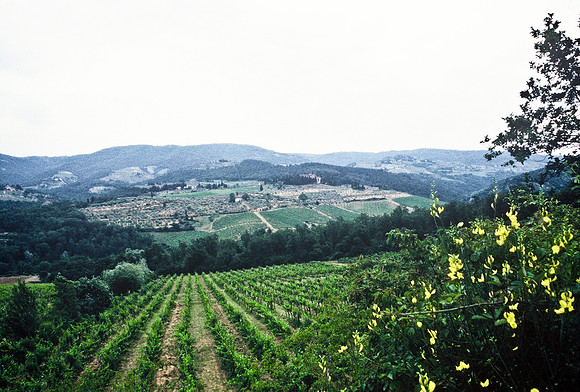 37340_SL_COLOR_ITALY_2000