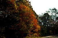 0336_FM_COLOR_MINESOTA_99_03.jpg