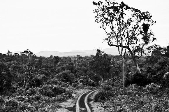 B3_82008_BW_194_New_Amboseli_Africa_89