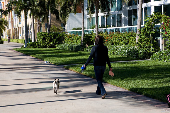 36136_DG_Color_USA_Miami_Beach_FL_Related_GroupZV4N0478