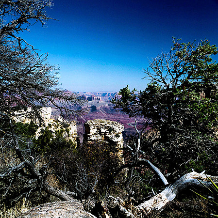 6122_COLOR_SQ_Grand_Cayon_National_Park_ARIZONA_USA_05_4.jpg