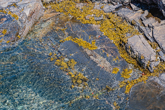 20060628_Maine_ZV4N1102
