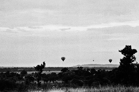 B3_82003_BW_194_New_Sarengety_Africa_89