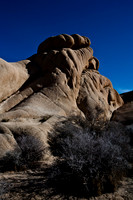 06646_DG_COLOR_JOSHUA_TREE_NAT_PARK_29_PALMS_CALIFORNIA_CA_USA_2007_ZV4N_496