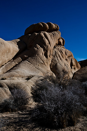 06646_DG_COLOR_JOSHUA_TREE_NAT_PARK_29_PALMS_CALIFORNIA_CA_USA_2007_ZV4N_496