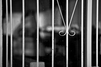 3788_DG_Design_Distric_Miami_FL_5L8Y4347