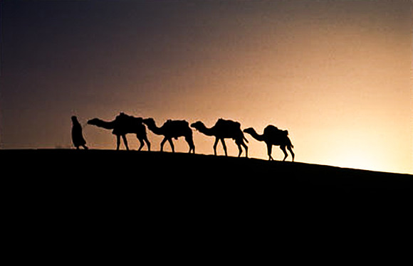 3202_SL_COLOR_MERZOUGA_SHAHARA_MAROCCO_II_1998_15
