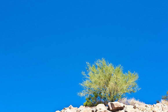 0031_La_Arizona_5L8Y5333