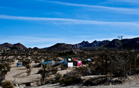 36377_DG_COLOR_JOSHUA_TREE_NATL_PARK_29_PALMS_CALIFORNIA_CA_USA_2007_ZV4N_1313