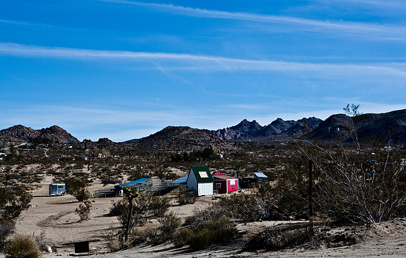 36377_DG_COLOR_JOSHUA_TREE_NATL_PARK_29_PALMS_CALIFORNIA_CA_USA_2007_ZV4N_1313