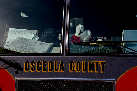 36207_DG_Color_USA_Osceola_County_Celebration_Town_FLZV4N8816