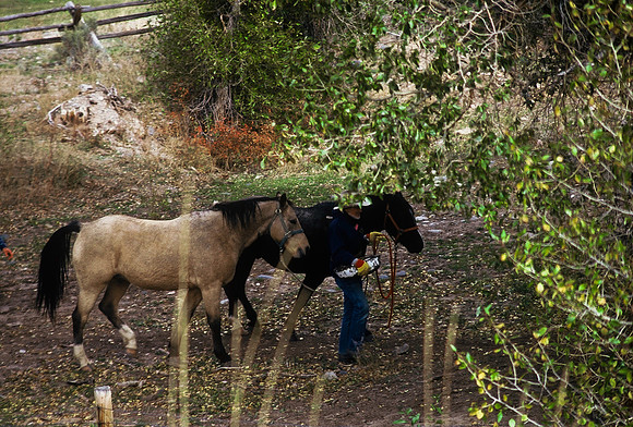 47348_B2_SL_COLOR_US_TOUR_JACKSON_HOLE_GRAND_TETON_WY_97_10.jpg